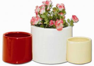 Flower Boxes