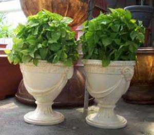 Flower Boxes